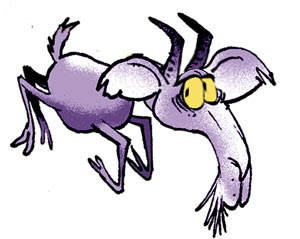 El chivo que se devuelve… ¿encuentra el camino?