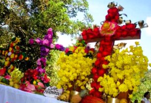 Cruz de Mayo: Así vive Venezuela esta tradición en medio de la crisis