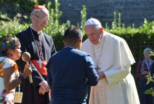 11 años de Laudato si’, ¿nos encaminamos a la ecología integral?