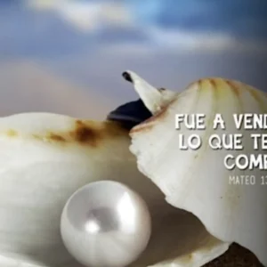 «El sabio no es quien elige entre lo antiguo y lo nuevo. Es quien sabe tener ambas cosas en la mano»